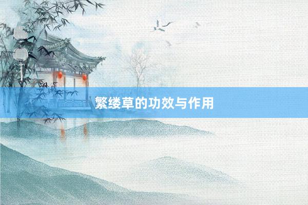 繁缕草的功效与作用