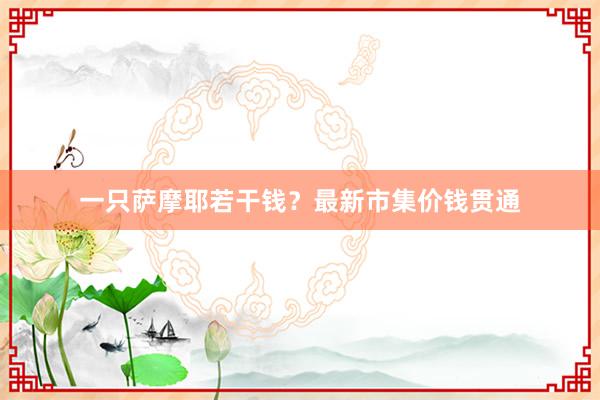 一只萨摩耶若干钱？最新市集价钱贯通