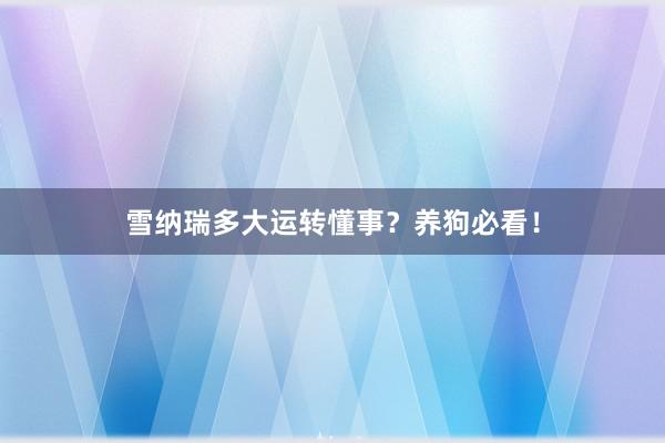 雪纳瑞多大运转懂事？养狗必看！