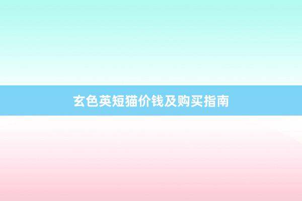 玄色英短猫价钱及购买指南