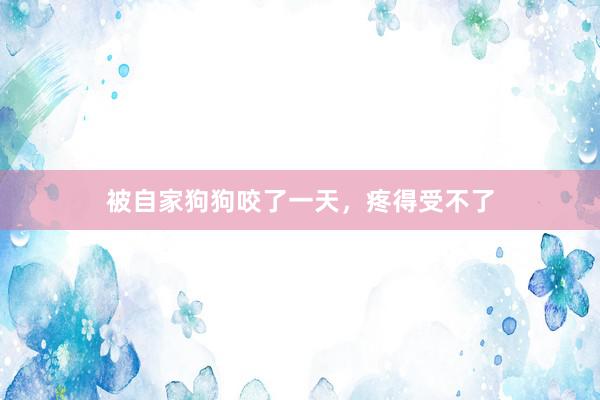 被自家狗狗咬了一天，疼得受不了