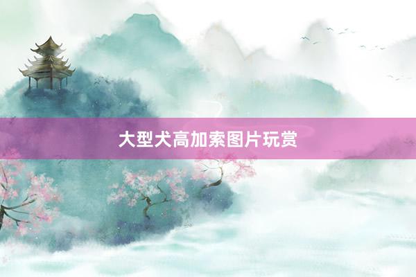 大型犬高加索图片玩赏